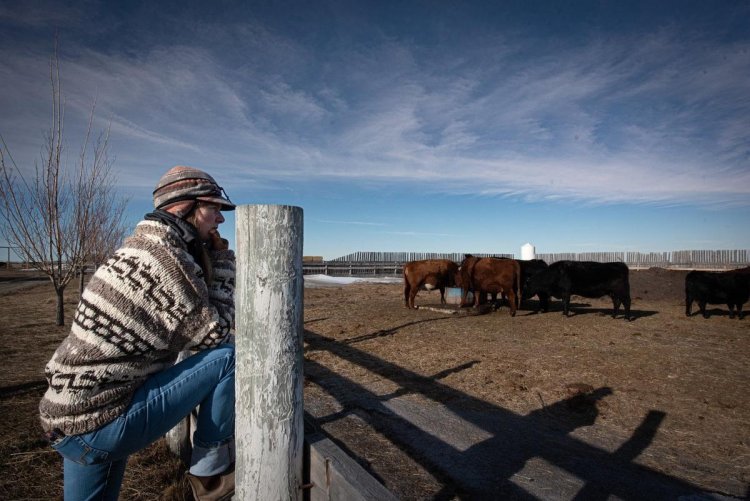 Canadian farmers and ranchers are plotting for a future with less carbon — and they’re making it work