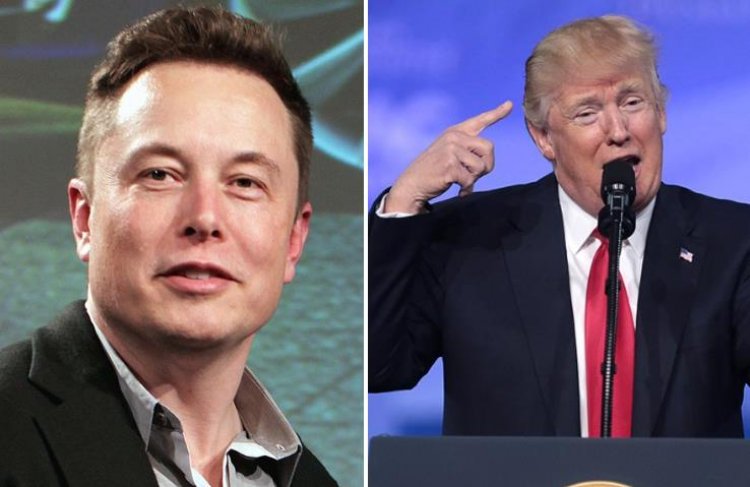 In One Word, Elon Musk Answers The Question “Who Would You Vote For In 2024?”