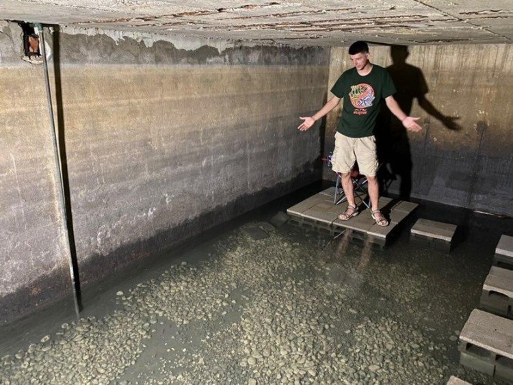 Why this ‘eel daddy’ TikToker built an eel pit inside his home