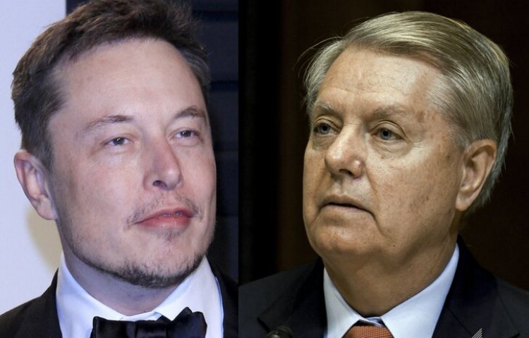 LOL: Elon Musk Claps Back At RINO Senator Lindsey Graham In Pointed Tweet